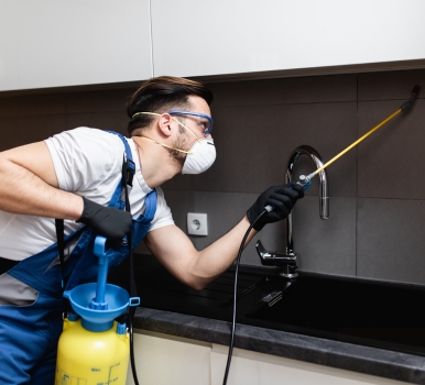 Chris Pest Control Hastings Milestone